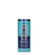 Bombay Sapphire Gin & Tonic 6.5%vol, 25cl